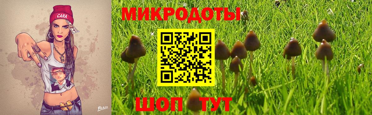 Азнакаево  Псилоцибиновые грибы Magic Shrooms  Вход с VPN  Галлюциногенные грибы Magic Shrooms 