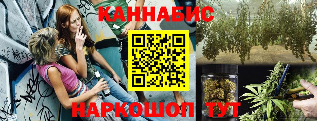 Бошки Шишки гибрид Азнакаево